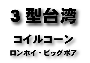 3型台湾　コイルコーン ロンホイ/ビッグボア