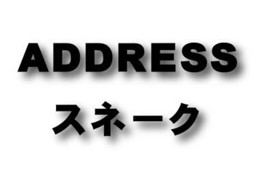 Address スネークコーン