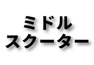 ミドル　スクーター　Euro-Racing